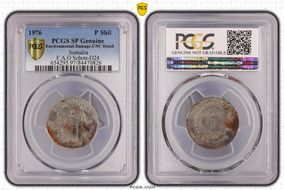 1976 P Shil F.A.O Schon-D24 SP1