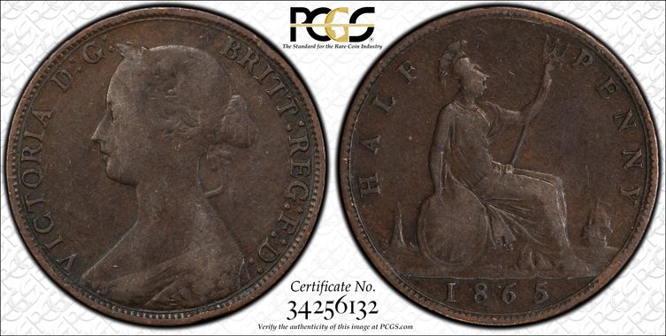 Cert 34256132 - Coin Image