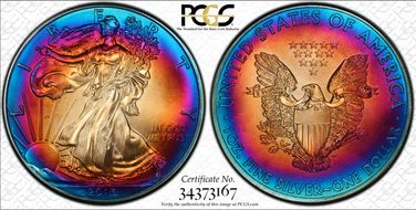 2013 $1 Silver Eagle N1