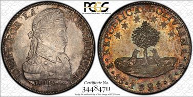 1828-PTS JM 8 Sol MS61