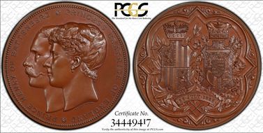 1885 Medal Eimer-1718 Bronzed AE SP66