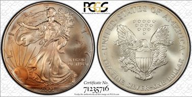 2001 $1 Silver Eagle MS69
