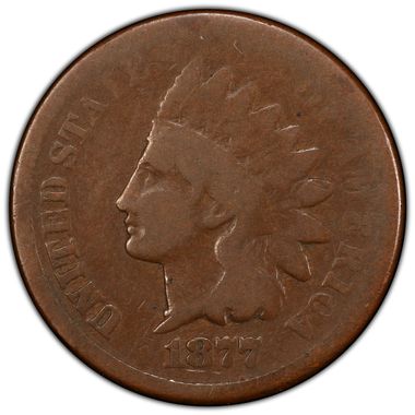 Cert 34921048 - Coin Image