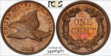 1856 1C Flying Eagle PR61