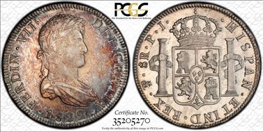 1822-PTS PJ 8 R Calico-1386 N1