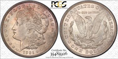 1921 $1 Morgan, Pitted Reverse MS63