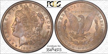 1888-S $1 VAM 13, Gouged Eagle MS65