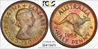 1955(p) 1/2D No Dot MS63BN