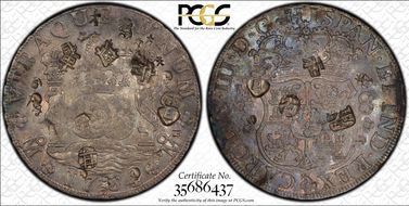1764-Mo MF 8 R Calico-1087 N1