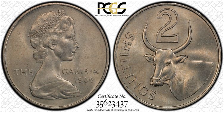 Cert 35623437 - Coin Image