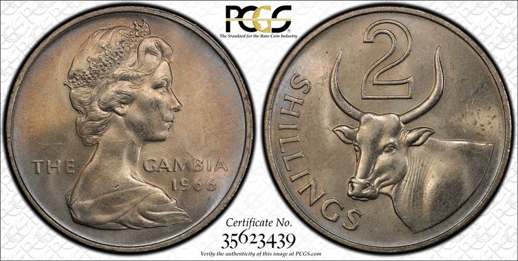 Cert 35623439 - Coin Image