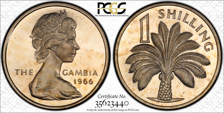 Cert 35623440 - Coin Image