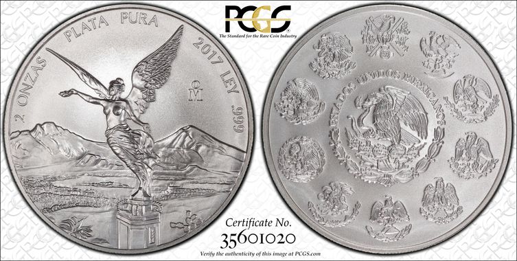 Cert 35601020 - Coin Image