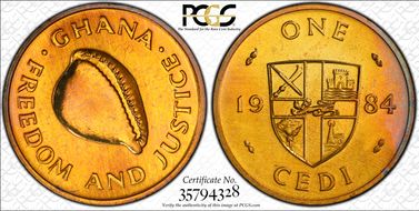 1984 Cedi SP64