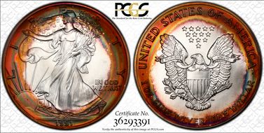 1991 $1 Silver Eagle MS67