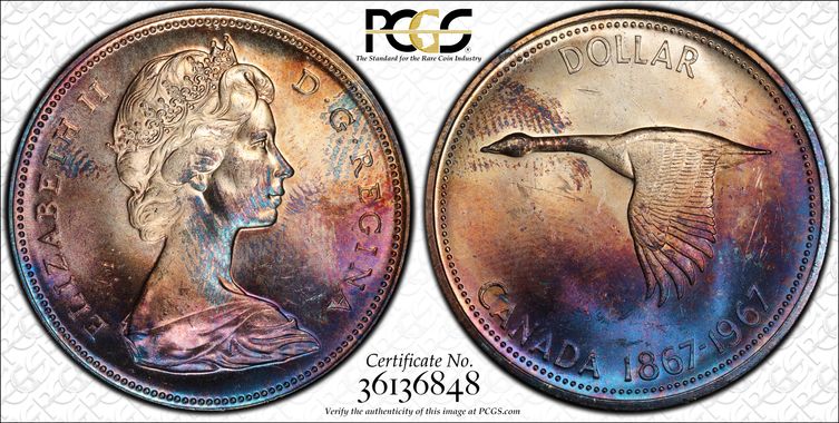 Cert 36136848 - Coin Image