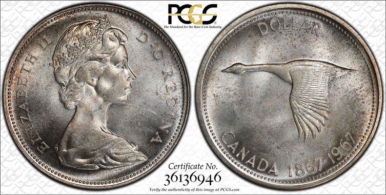 Cert 36136946 - Coin Image