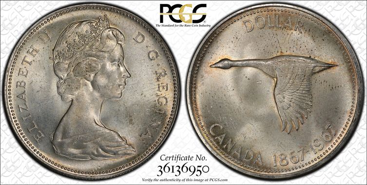 Cert 36136950 - Coin Image