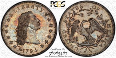 1794 $1 Flowing Hair, Silver Plug SP66