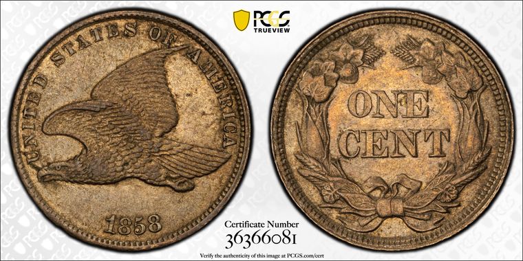 Cert 36366081 - Coin Image