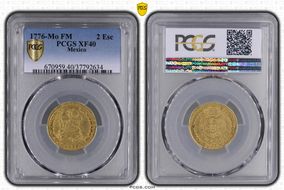 1776-Mo FM 2 Esc Calico-1599 XF40
