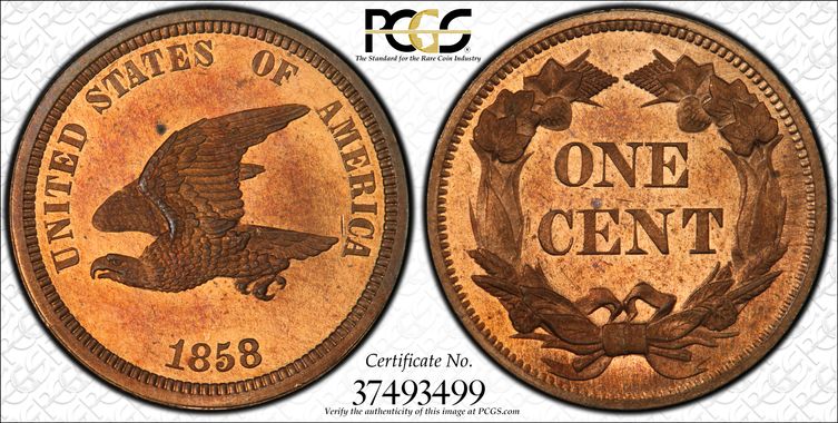 Cert 37493499 - Coin Image