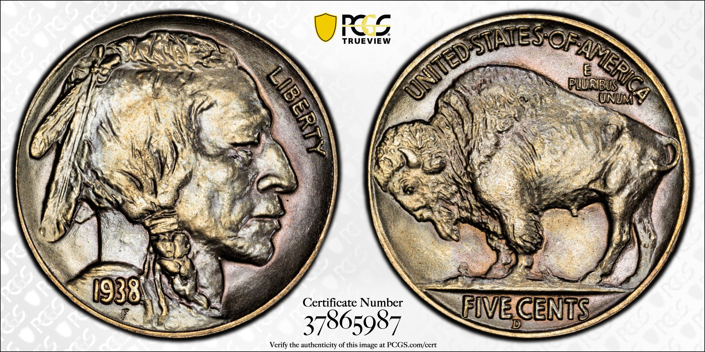 1938 D Buffalo Nickel
