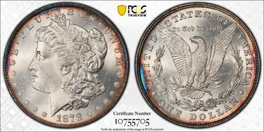 1878 8TF $1 VAM 14.2 Polished Ear MS63