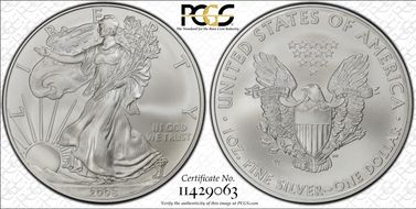 2008-W $1 Burnished Silver Eagle SP70