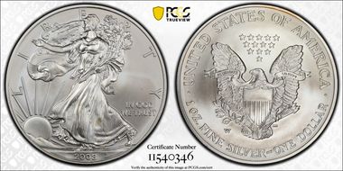 2008-W $1 Burnished Silver Eagle Reverse of 2007 SP69