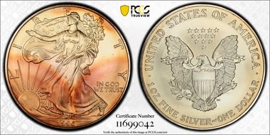 1996 $1 Silver Eagle MS69