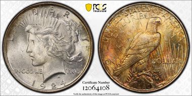 1924 $1 VAM 8A, Extra Hair MS64
