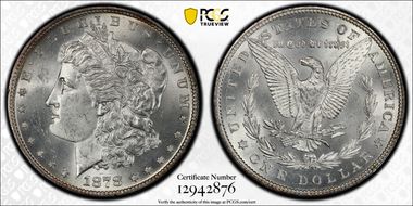 1878 7TF $1 R79 VAM 203 Short Leaf MS64