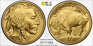 2008-W $5 Burnished Am. Buffalo First Strike .9999 Fine Gold SP70