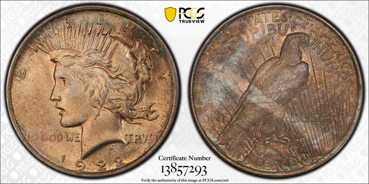 Cert 13857293 - Coin Image