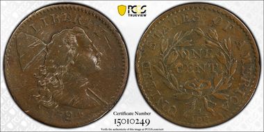 1794 1C S-45, The Plicae F15BN