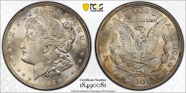 1921 $1 Morgan, Pitted Reverse MS64