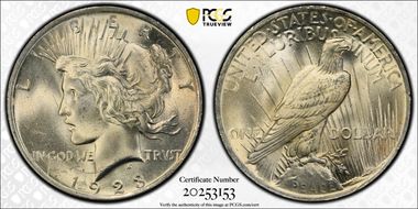 1923 $1 VAM 1V, Extra Hair MS65