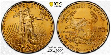 2008-W $5 Burnished Gold Eagle SP70