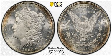 1880 $1 MS65+