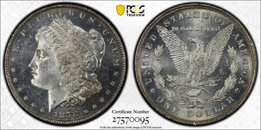 1878 8TF $1 VAM 14.6 Dot on Ear MS64PL