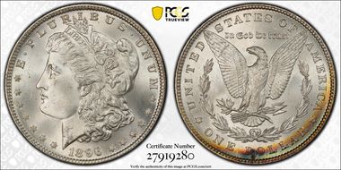 1896 $1 VAM 19, 8 in Denticle MS67