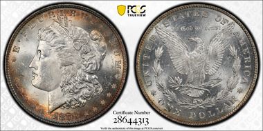 1878 8TF $1 VAM 22 Polished LIB MS64