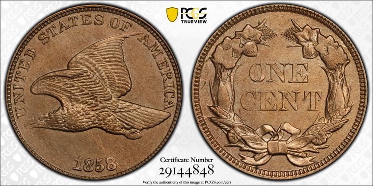 Cert 29144848 - Coin Image