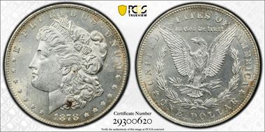 1878 7TF $1 Reverse of 1878 MS61