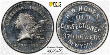 (1876) Token NY-NY 750 White Metal H.W. Hoops MS65