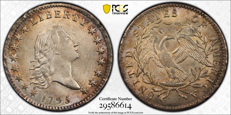 Cert 29586614 - Coin Image