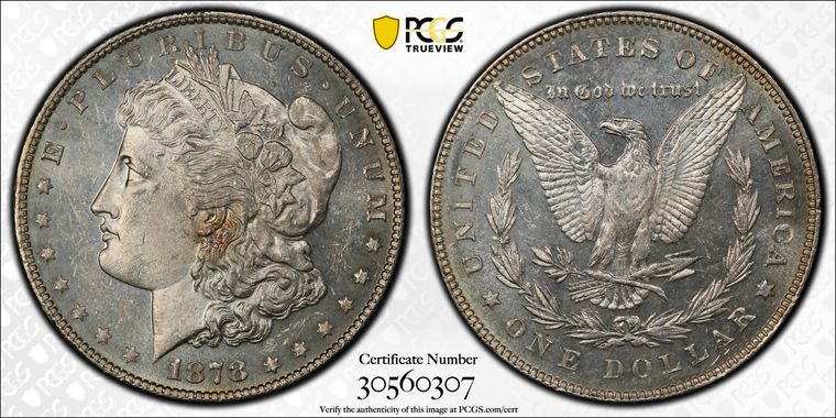 Cert 30560307 - Coin Image