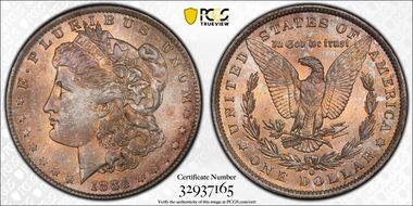1884-O $1 MS65