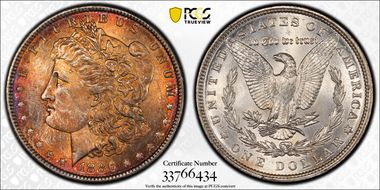 1886 $1 MS65